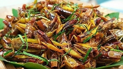 Yên Bái tràn ngập đặc sản hấp dẫn và thơm ngon
