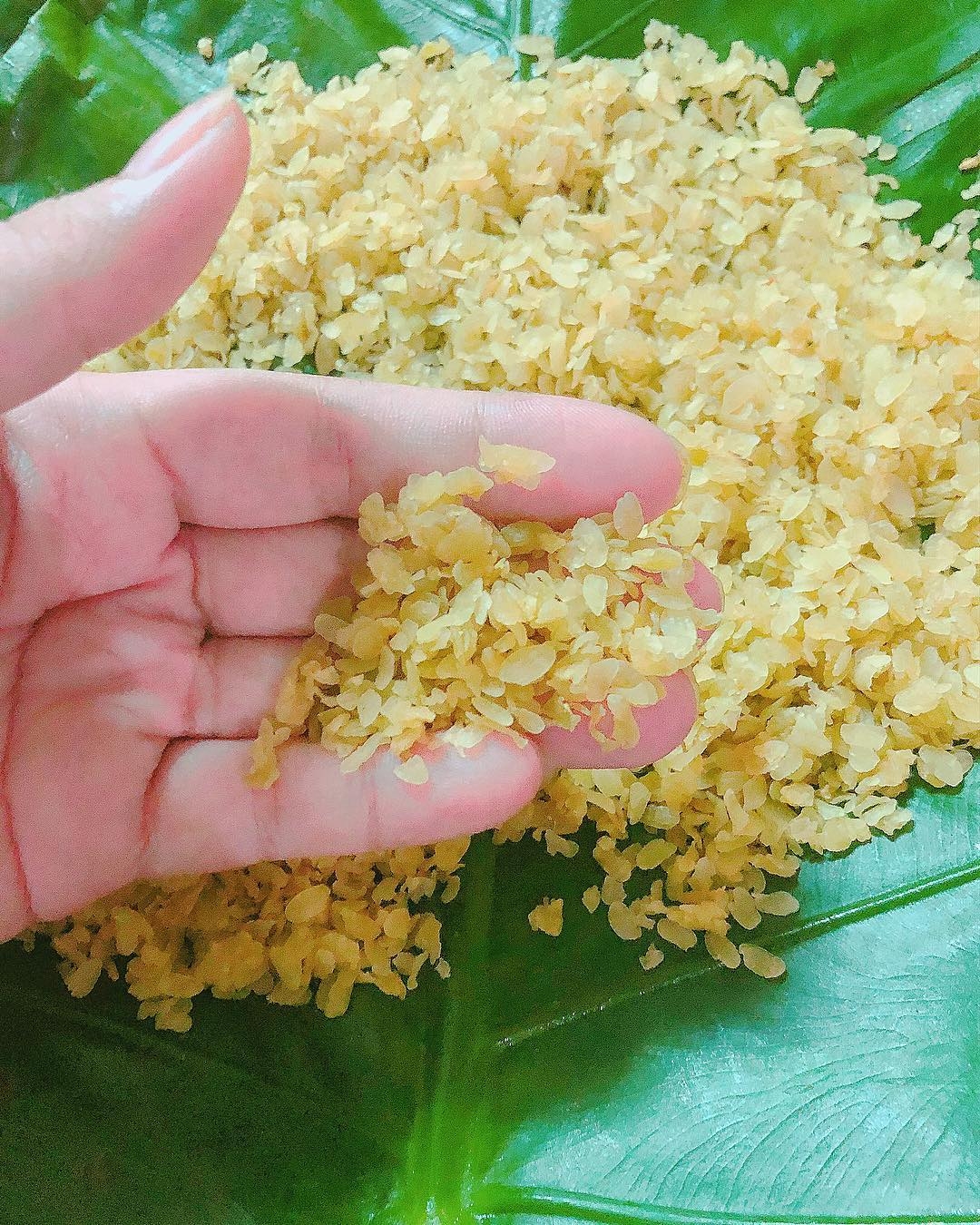 yen bai mu cang chai tran ngap dac san hap dan va thom ngon