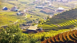 Ăn chơi gì trong 3 ngày ở Sa Pa?