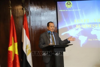 tinh luxor cua ai cap mong muon tang cuong hop tac voi viet nam