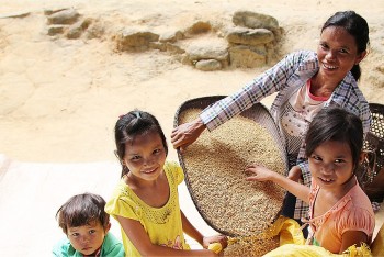 2023 2027 thoi diem vang trien khai cac du an chuong trinh hop tac giua da nang va wvi