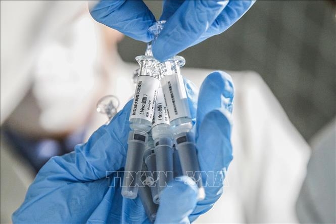 Trung Quốc: Khỉ khỏi hoàn toàn Covid-19 sau khi sử dụng vaccine