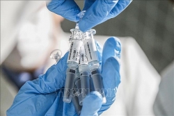 Trung Quốc: Khỉ khỏi hoàn toàn Covid-19 sau khi sử dụng vaccine
