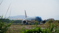 gan 340 cong dan viet nam tu an do da ve nuoc an toan