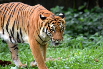 Hơn 9.000 người Malaysia đóng góp 48.000 RM