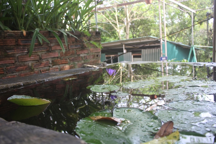 chua linh quang dien bien chon an yen noi manh dat bien gioi