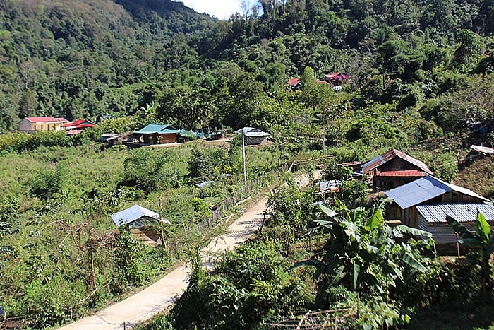 Mường Nhé (Điện Biên): Dân giàu từ những cánh rừng