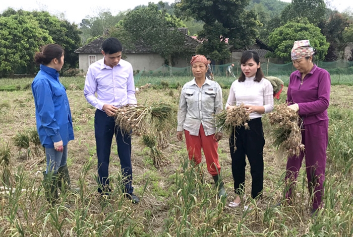 Phương pháp giúp giảm nghèo độc đáo của Tuyên Quang
