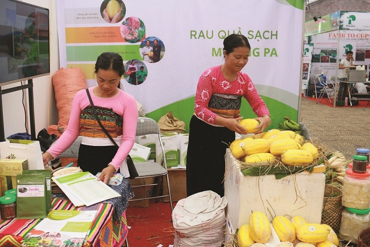 Mô hình sinh kế bền vững: cần lồng ghép, nhân rộng, lan tỏa