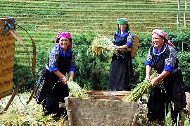 "Giải thưởng nhân quyền" - mục đích thật sự của các loại giải thưởng nhân danh?