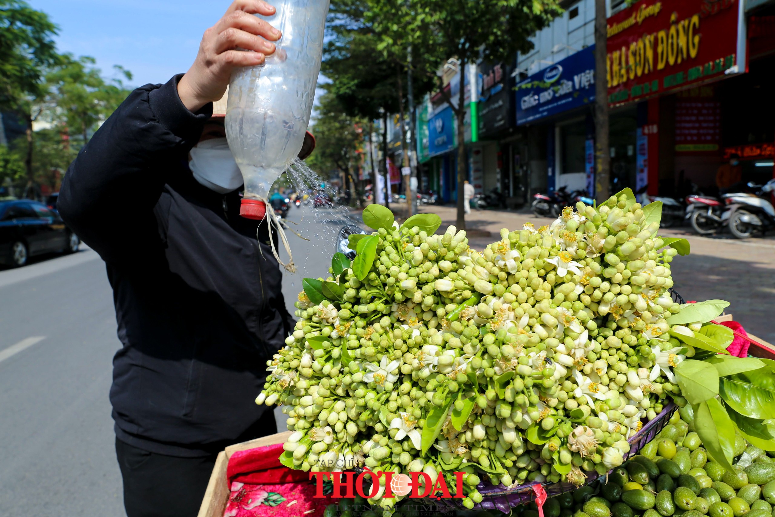 Hà Nội mùa hoa bưởi ngát hương