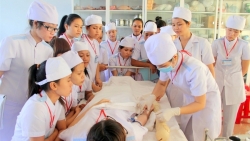 llich nghi tet canh ty 2020 cua hoc sinh hai phong