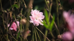 video nguoi dan ong an mi tom giua troi lanh am 50 do c va cai ket