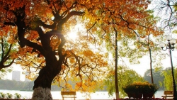 tin thoi tiet hom nay 71 trung bo mua rao bac bo nang am