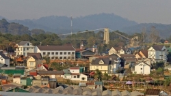 da lat vo tran trong ngay mung 4 tet