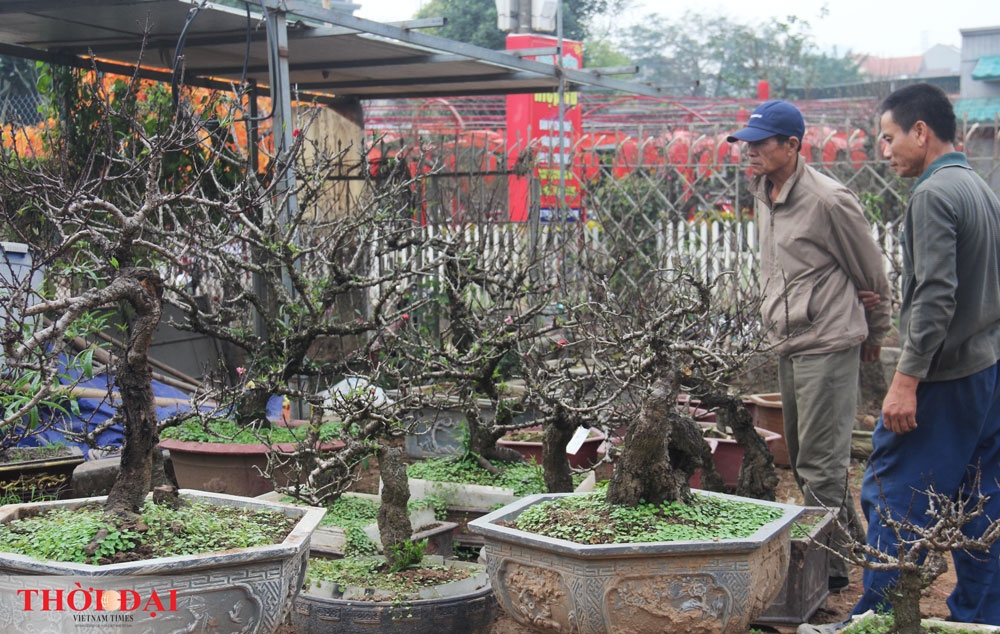 dao that thon thanh thoi nam dieu hoa cho tet nguyen dan 2020