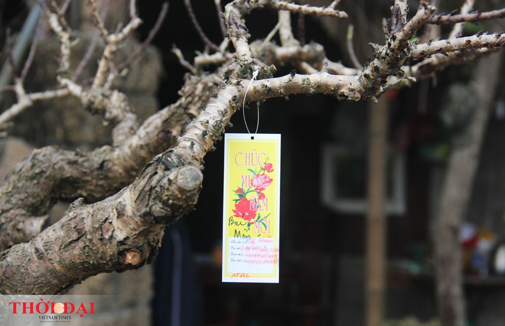 dao that thon thanh thoi nam dieu hoa cho tet nguyen dan 2020