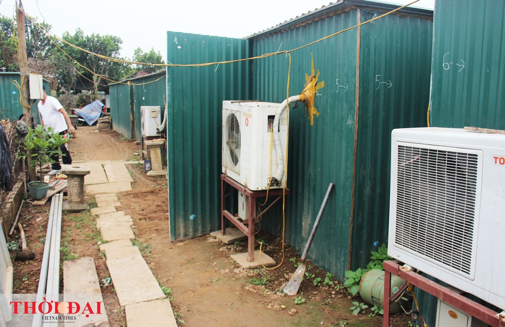 dao that thon thanh thoi nam dieu hoa cho tet nguyen dan 2020