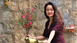 Dự báo thời tiết Tết Nguyên đán 2020: Miền Bắc nóng hay lạnh?