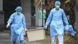 Bộ Y tế: Triệu chứng, cách điều trị bệnh viêm phổi lạ do virus corona mới