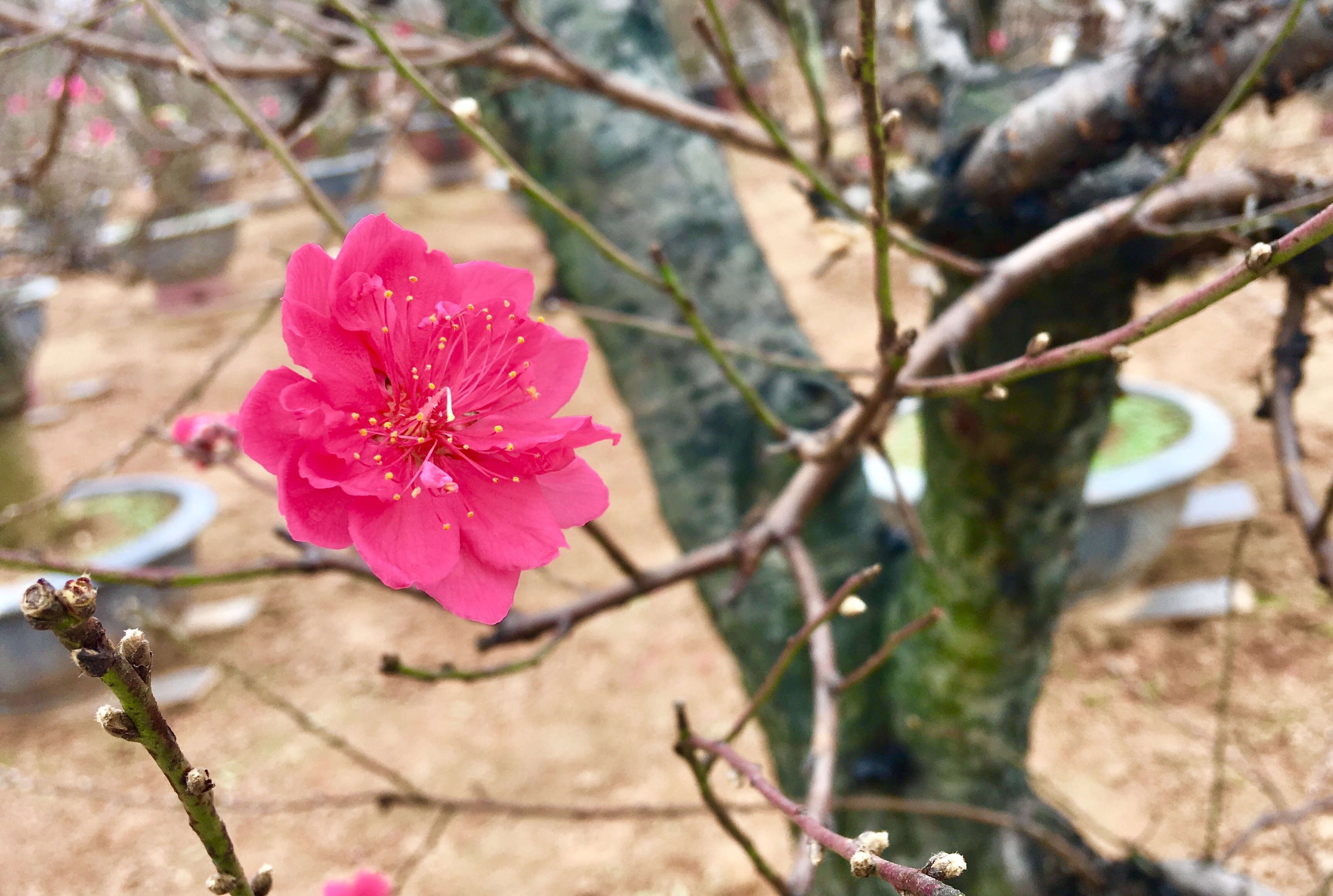 Tin thời tiết hôm nay 20/1: Không khí lạnh tăng cường, Bắc Bộ rét đậm và rét hại tin thoi tiet hom nay 201 khong khi lanh tang cuong bac bo ret dam va ret hai