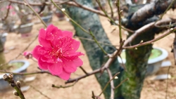 tin thoi tiet hom nay 201 khong khi lanh tang cuong bac bo ret dam va ret hai