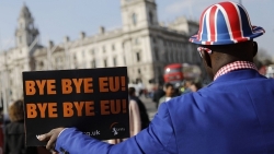 Hôm nay (29/1) Nghị viện châu Âu thông qua Brexit