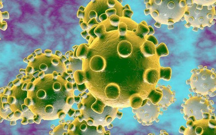 xet nghiem virus corona cho ket qua trong bao lau