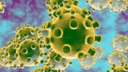 ha noi tiep nhan 950 nguoi viet ve tu vung dich virus corona nhu the nao