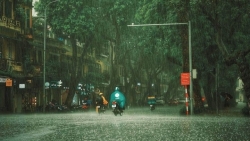 tin thoi tiet hom nay 102 mua phun ret dam va ret hai van bao trum mien bac