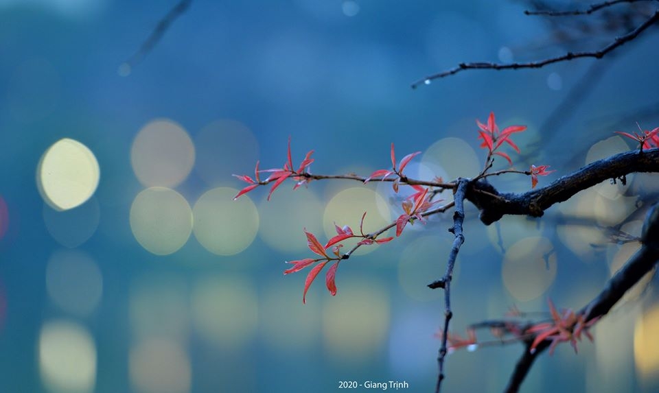 tin thoi tiet hom nay 102 mua phun ret dam va ret hai van bao trum mien bac