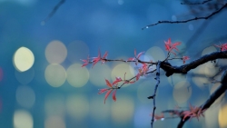 tin thoi tiet hom nay 102 mua phun ret dam va ret hai van bao trum mien bac