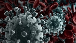my ca nhiem virus corona tro ve tu vu han bi xuat vien nham