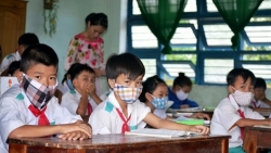 bo hoa tang valentine doc dao duoc lam tu khau trang con va nuoc rua tay giua dich virus corona