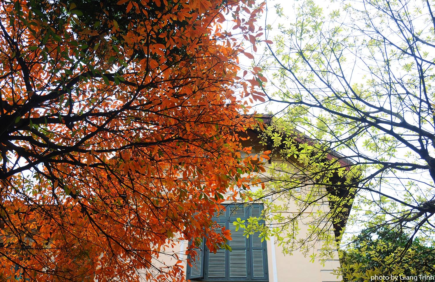 tin thoi tiet hom nay 172 hung nang mien bac van ret dam