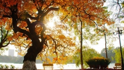 tin thoi tiet hom nay 202 bac bo mua phun nom am quay tro lai