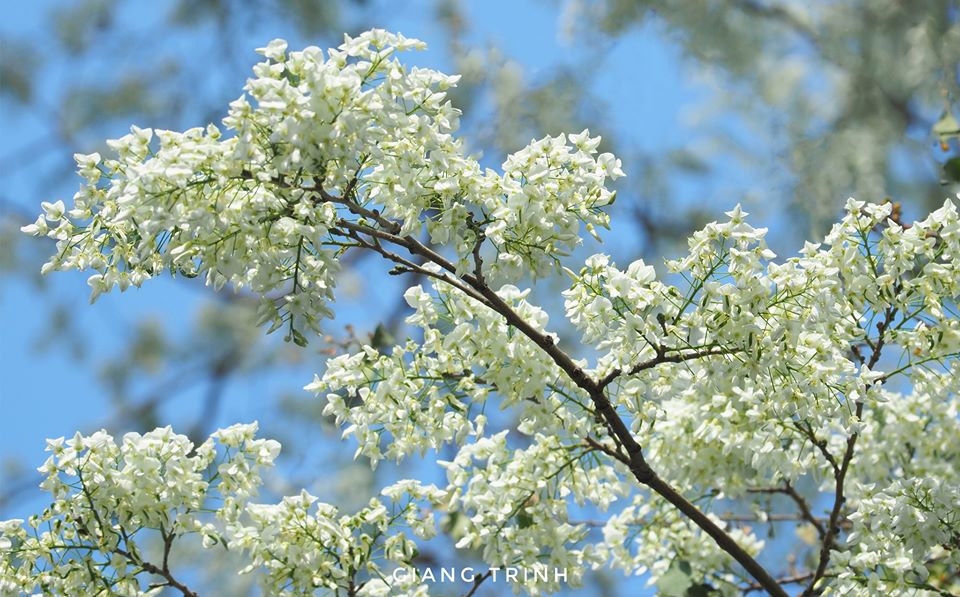 tin thoi tiet hom nay 252 bac bo nang am dem va sang troi ret