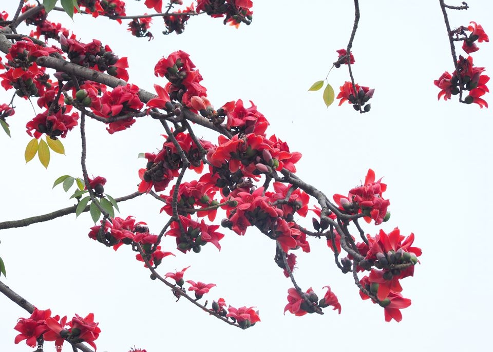 tin thoi tiet hom nay 292 bac bo nang am nam bo nang oi