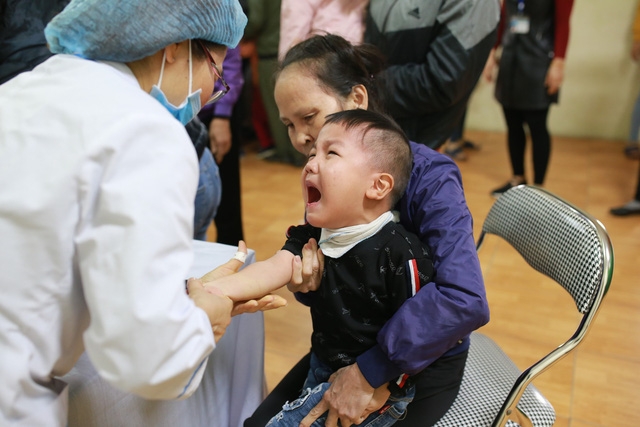 san lon o bac ninh phan lon tre duong tinh voi giun san cho meo