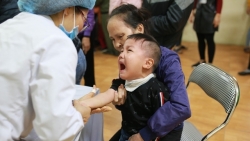 Sán lợn ở Bắc Ninh: Phần lớn trẻ dương tính với giun sán chó, mèo