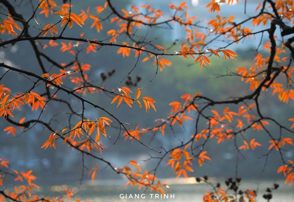 tin thoi tiet hom nay 23 khong khi lanh ve mien bac mua da va dong loc