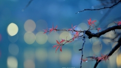 tin thoi tiet hom nay 133 mien trung nang nong gay gat cao nhat 37 do c