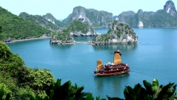 quang ninh tam dung don khach den vinh ha long co to van don vi dich covid 19