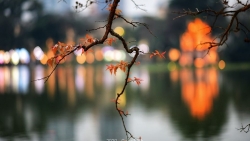 don khong khi lanh bac bo mua lon nguy co lu quet va sat lo dat