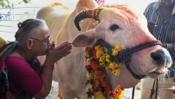 tin thoi tiet hom nay 203 mua phun ret ngot bao trum bac bo