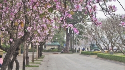 tin thoi tiet hom nay 203 mua phun ret ngot bao trum bac bo