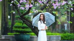 tin thoi tiet hom nay 293 gio mua dong bac ve mien bac tat nang troi mat