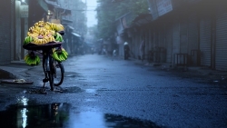 tin thoi tiet hom nay 303 bac bo mua phun nam bo mua dong