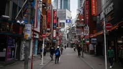 hoa hau hong kong lan dau ngung to chuc do anh huong cua dich covid 19
