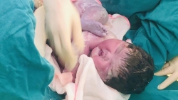 can canh cap song sinh chao doi trong phong cach ly covid 19